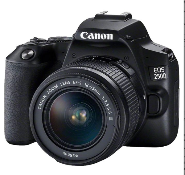 Canon EOS 250D DSLR Camera with EF-S 18-55mm f/4-5.6 IS STM Lens